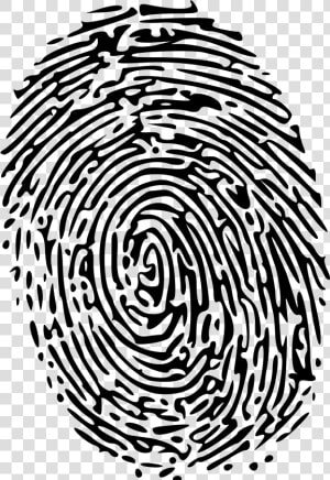 Download Fingerprint Png Image   Finger Printing  Transparent Png