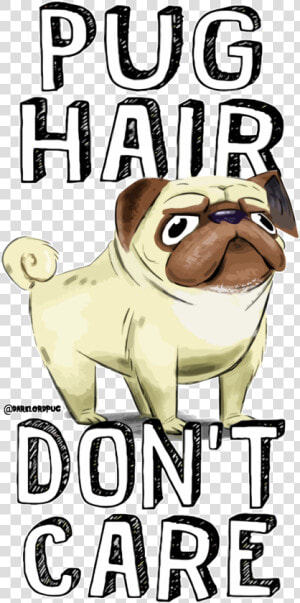 Dark Lord Pug   Pug  HD Png Download