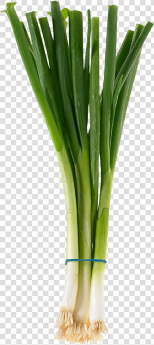 Green Onions  Bunch Data Rimg Lazy Data Rimg   Bushel Of Green Onions  HD Png Download