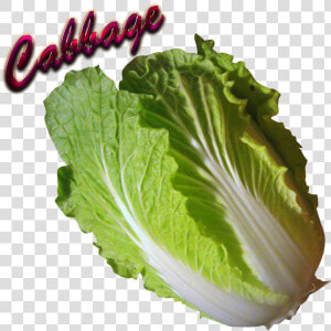 Cabbage Download Png   Collard Greens  Transparent Png