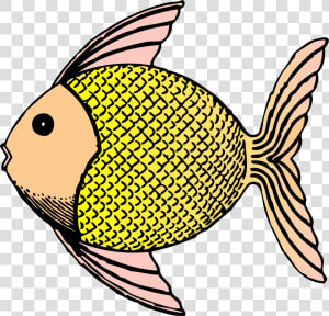 Tropical Fish   Fish With Scales Clipart  HD Png Download