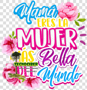 Dia De Las Madres Png  Transparent Png