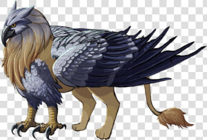 Gryphon Png  Transparent Png