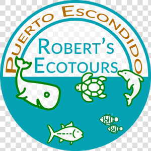 Ecotours Puerto Escondido   Circle  HD Png Download