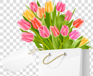 Flowers Bouquet Tulips Png   Tulip Flowers  Transparent Png