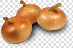 Transparent Onion Plant Png   Sweet Onion Transparent  Png Download