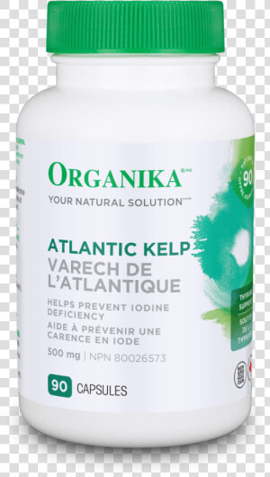 Organika Alpha Lipoic Acid 100mg 60capsules  HD Png Download