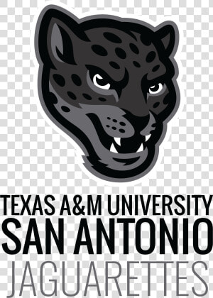 A amp m sa Dance Team Logo Featuring A Jaguar Head   Makarios  HD Png Download