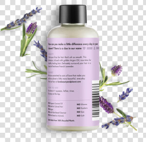 Love Beauty And Planet Argan Oil  amp  Lavender Shampoo   Love Beauty And Planet Lavender Lotion  HD Png Download