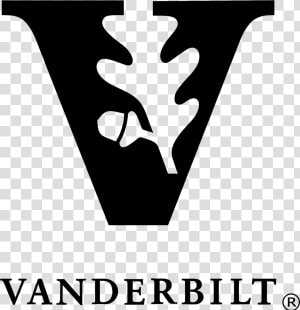 Gold Vanderbilt University Logo  HD Png Download