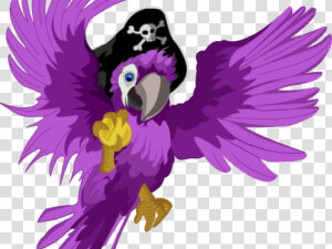 Macaw Clipart Pirate Parrot   Clip Art  HD Png Download