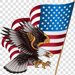 Usa Clipart American Flag Eagle   Many Stars Are On The American Flag  HD Png Download