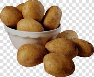 Potato Png Image   Irish Potatoes  Transparent Png