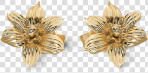 Yellow Gold Bermudiana Flower Earrings   Earrings  HD Png Download