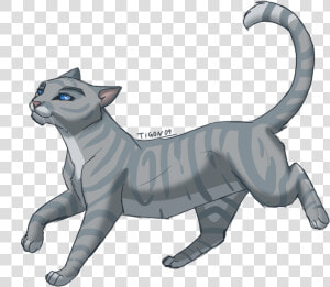 Grey Cat With Blue Eyes Clipart   Silverstream Warrior Cat  HD Png Download