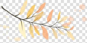 Leaf  Leaves  Branch  Fall  Autumn  Nature  Foliage   Scalable Vector Graphics  HD Png Download