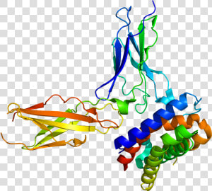 Protein Il28ra Pdb 3og4  HD Png Download