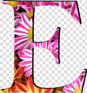 Flower Pattern Letters E   Letters Flower Design Png  Transparent Png