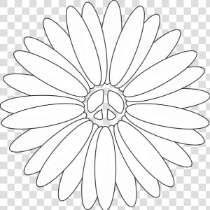 Flowers Line Art   Great Gatsby Daisy Flower  HD Png Download