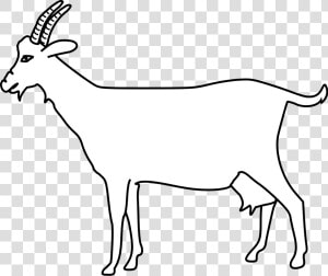 Clipart Goat File   Png Image Of Goat Outline  Transparent Png