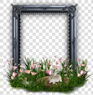 Png Frame Rabbit Picture Free Picture   Bouquet  Transparent Png