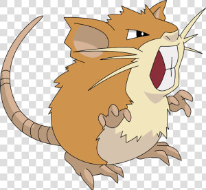 Raticate Png  Transparent Png