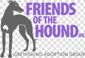 Azawakh   Friends Of The Hounds  HD Png Download