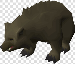 Old School Runescape Wiki   Bear Spawns Osrs  HD Png Download