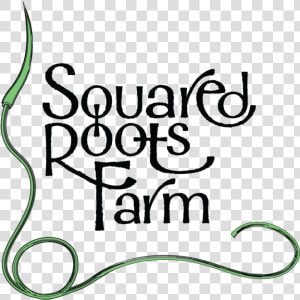 Squared Roots Farm Logos Alternate No Stroke   Calligraphy  HD Png Download