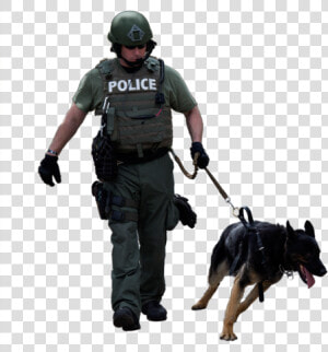 Police Dog Dog Breed Leash   Police Dog Png  Transparent Png