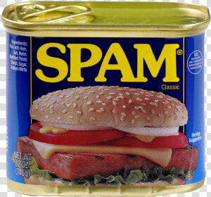 Spam Discord Emoji   Spam Ham  HD Png Download