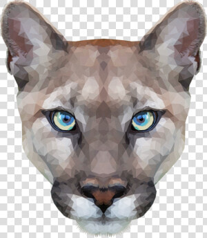 Tumblr Nnshg2tlaf1u806wgo1 R1   Cougar Head Transparent Background  HD Png Download