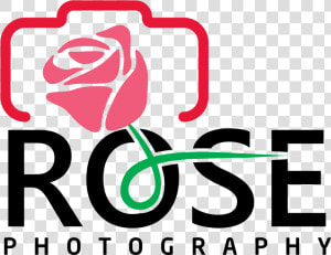 Clip Art Rose Logo Design   Rose Photography Logo  HD Png Download