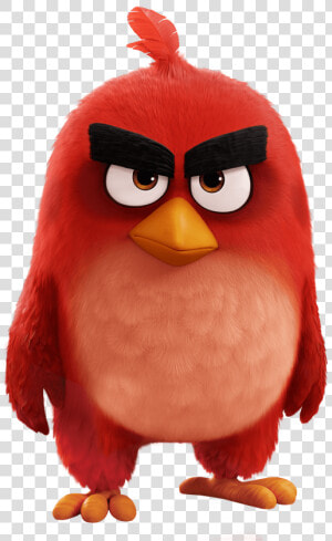 Angry Bird Movie Red Bird Clipart   Png Download   Angry Birds 2 Red  Transparent Png