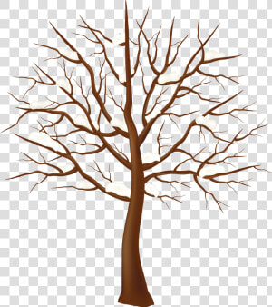 Tree Winter Clip Art   Transparent Tree Branches Clipart  HD Png Download