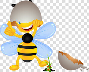 Bumblebee Clipart Blue Bee   Honey Bee Clipart Png  Transparent Png