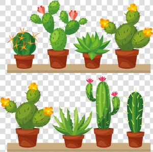 Cactus Transparent Png Clip Art Image   Cactus Succulent Clip Art  Png Download