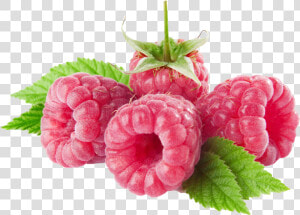 Raspberries Png Clipart  Transparent Png