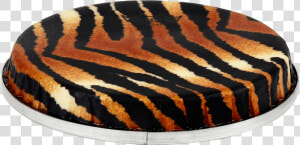 Remo R Series Skyndeep Bongo Drumhead Tiger Stripe   Tiger  HD Png Download