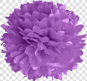 Pom Poms Png  Transparent Png