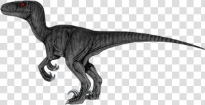 Velociraptor Png Transparent Hd Photo   Transparent Background Velociraptor Png  Png Download