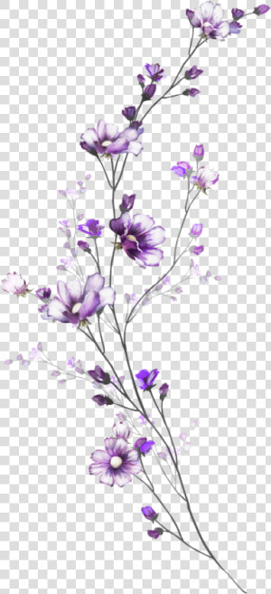 Delicate Flower Paintings  HD Png Download