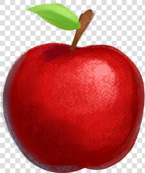 Apple Drawing Fruit Illustration   ภาพ วาด แอ ป เปิ้ ล  HD Png Download