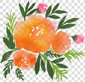 Acuarela De Flores  Acuarela  Florales  Flor  Primavera   Watercolor Flower Orange Png  Transparent Png