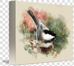 Transparent Chickadee Clipart   Perching Bird  HD Png Download