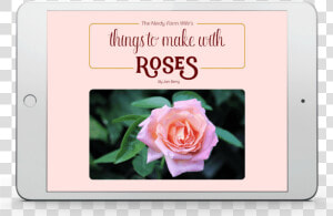 Things To Make With Roses Ebook By The Nerdy Farm Wife   Hybrid Tea Rose  HD Png Download