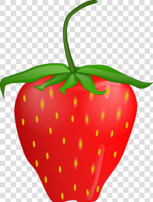 Food fruit strawberry   Strawberry Clip Art  HD Png Download