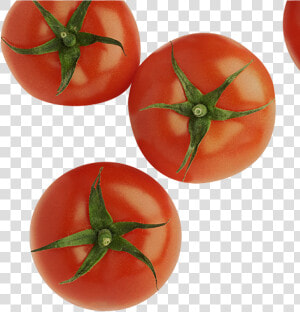 Tomates Desde Arriba Png  Hd Png Download   Cosecha De Tomate En Puerto Rico  Transparent Png