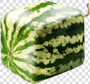 Square Watermelon   Square Watermelon Cut In Half  HD Png Download