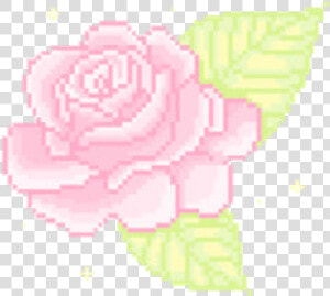 Garden Roses Pixel Art Gif Flower   Pastel Aesthetic Pixel Art  HD Png Download